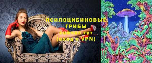 твердый Ельня