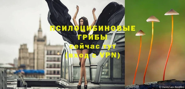 бошки Шарыпово