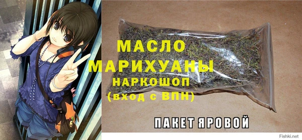 твердый Ельня