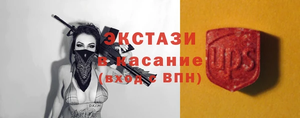 твердый Шадринск