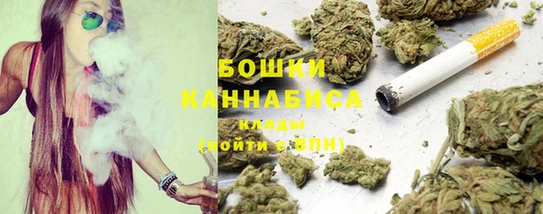 твердый Ельня