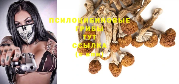 гидропоника Елабуга